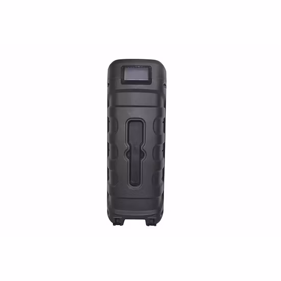 Temeisheng Tragbarer Party-Lautsprecher, Dualer 8-Zoll-Kunststoff-Wireless-Bluetooth-Audio-Außenlautsprecher